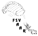 FSV Saar Logo